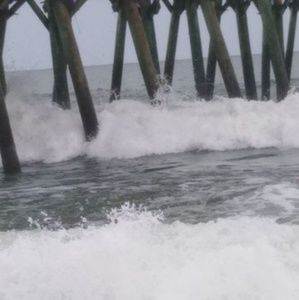 Meet your Posher, Sheila